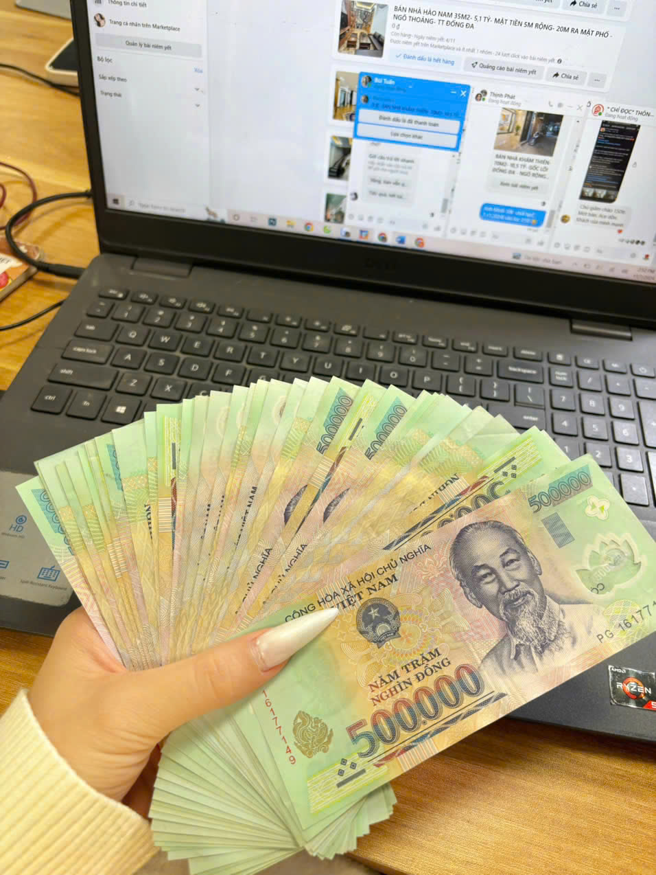 lĩnh vực hoạt động