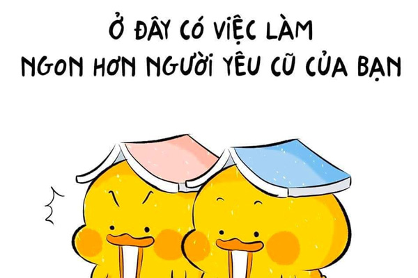 lĩnh vực hoạt động