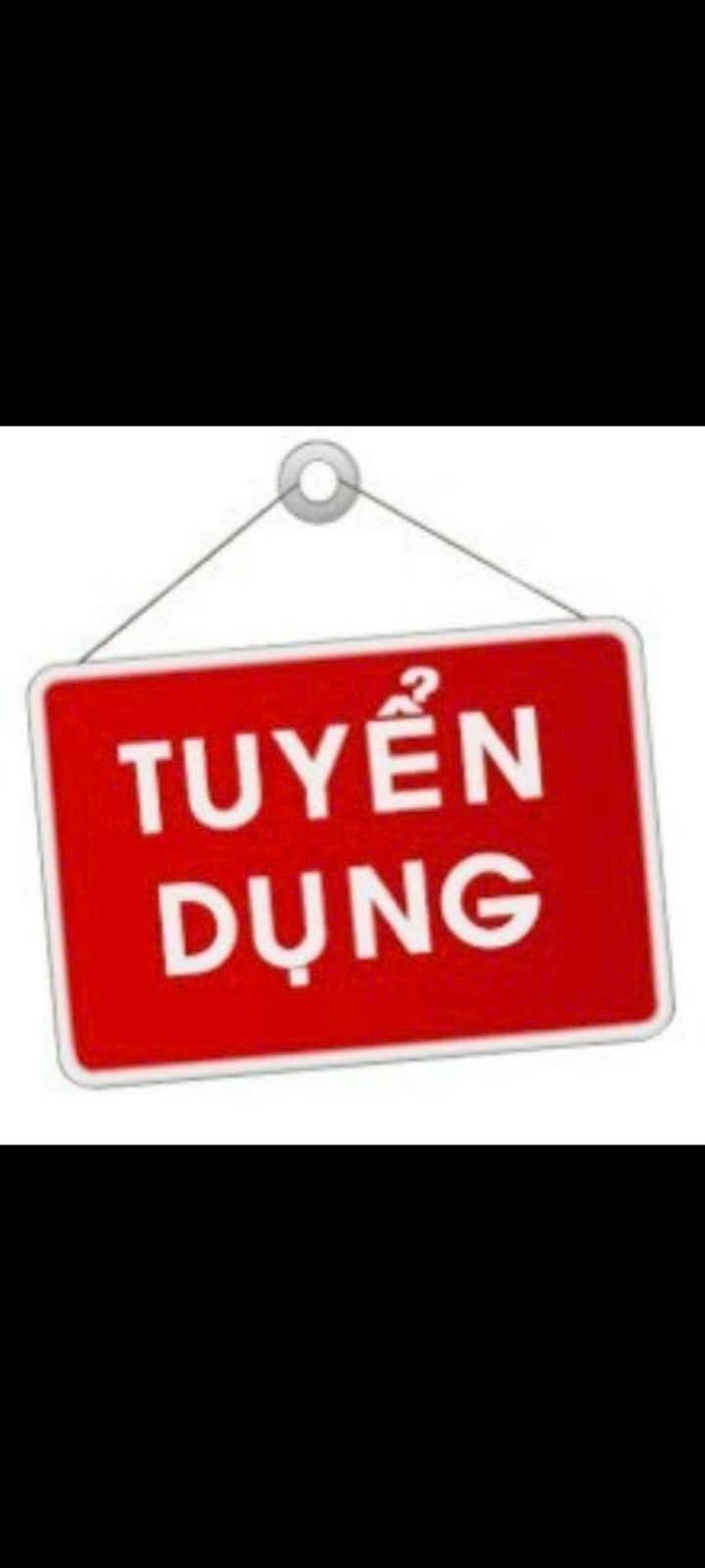lĩnh vực hoạt động