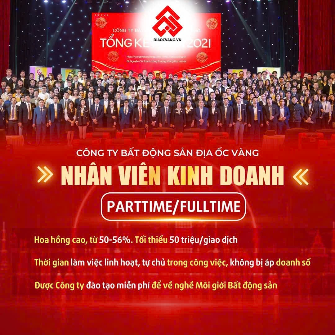 lĩnh vực hoạt động