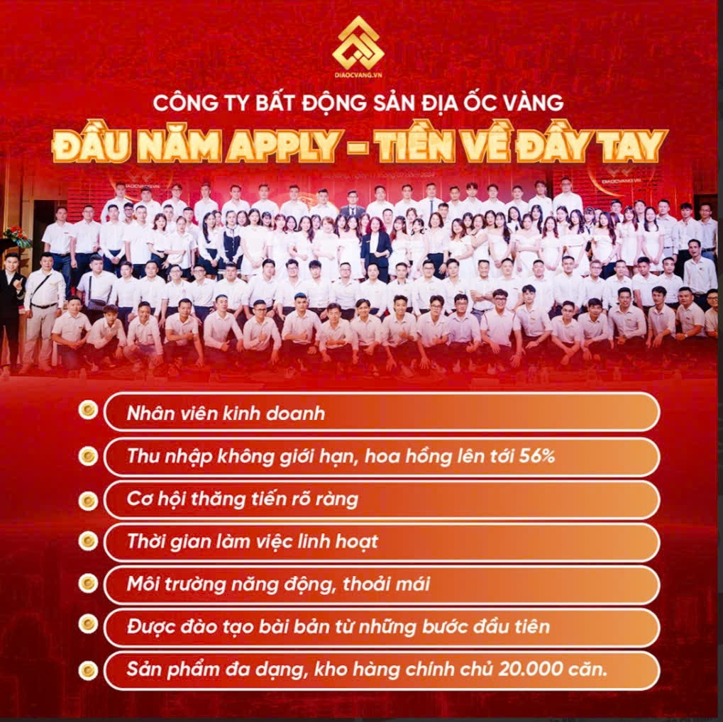 lĩnh vực hoạt động