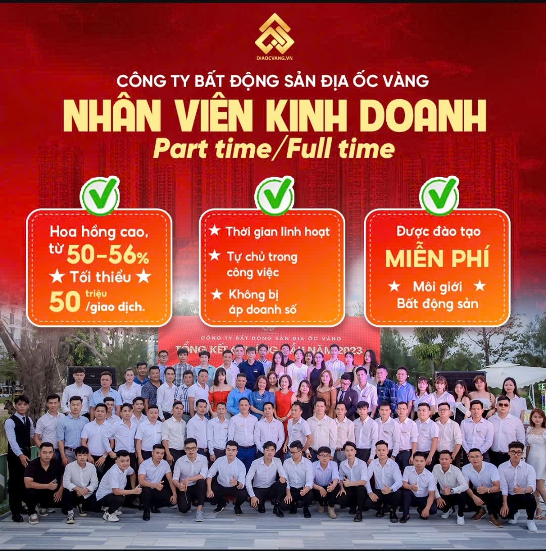 lĩnh vực hoạt động