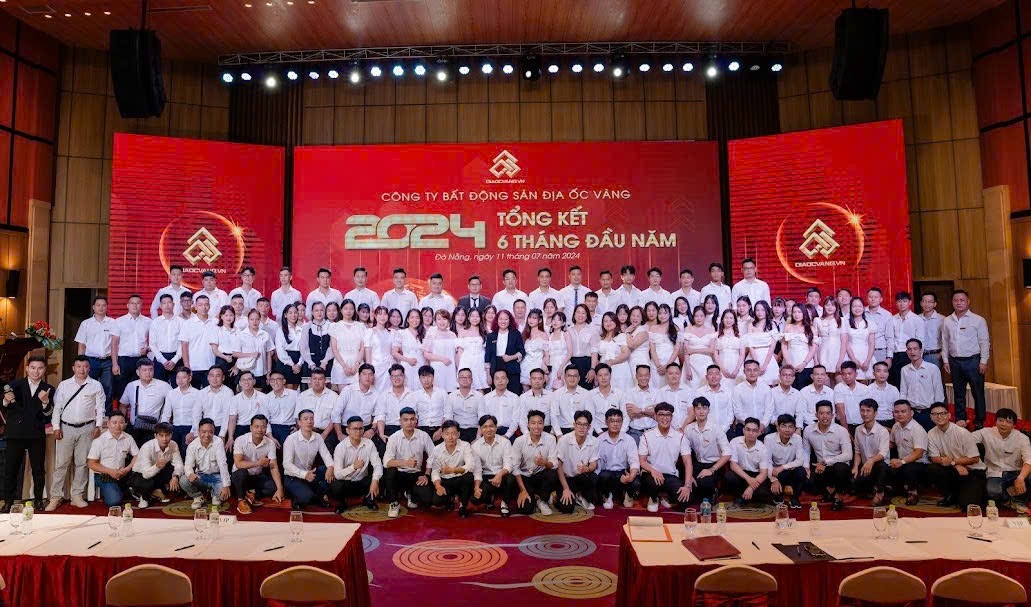 lĩnh vực hoạt động