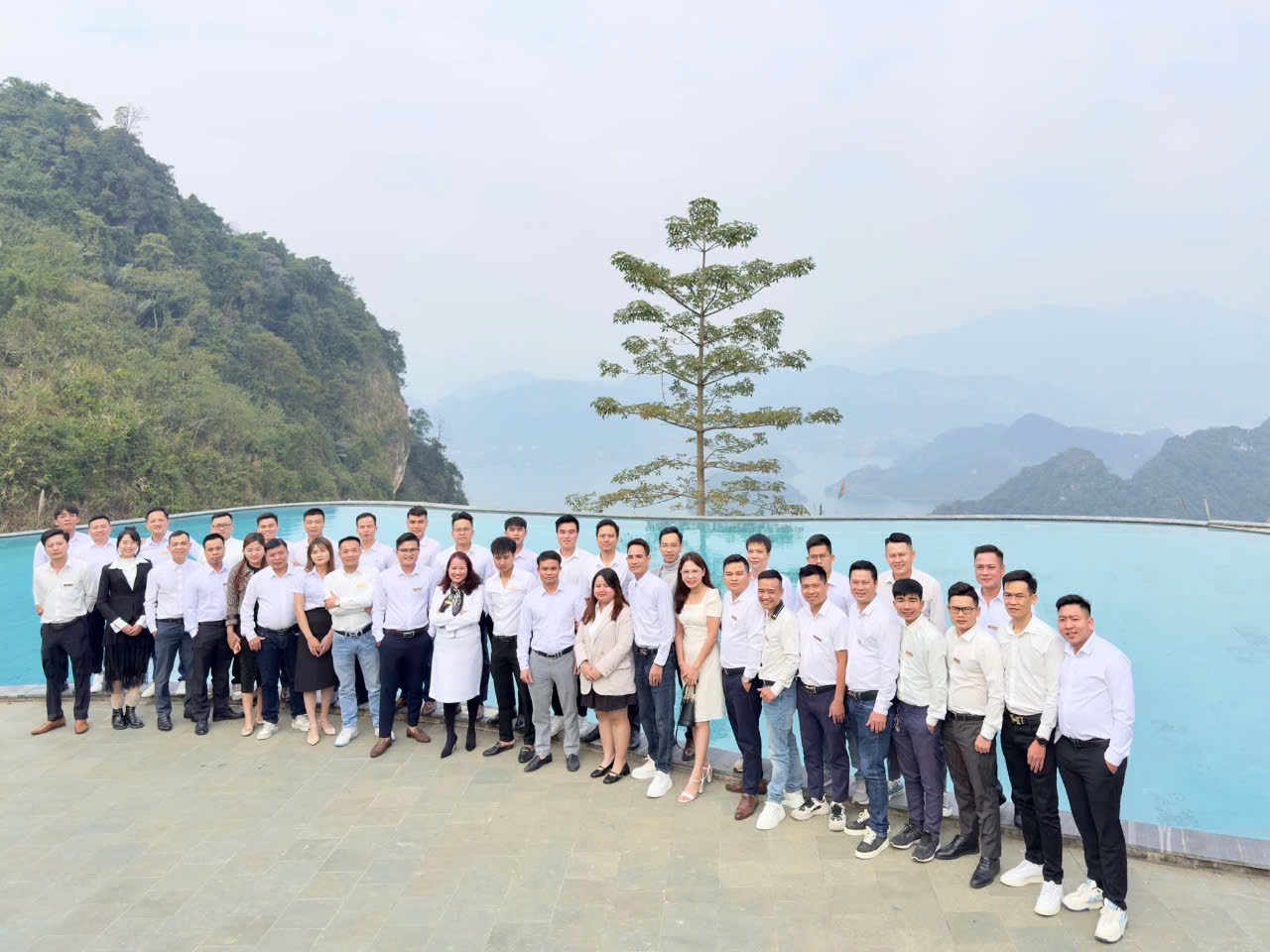 lĩnh vực hoạt động