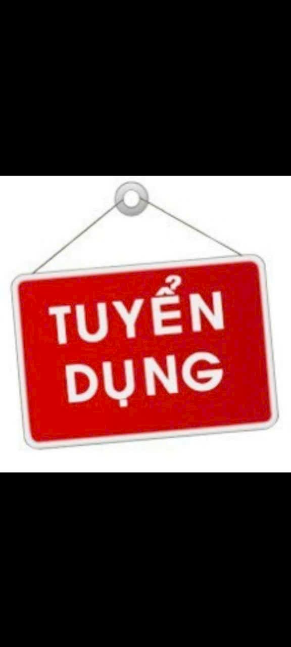 lĩnh vực hoạt động