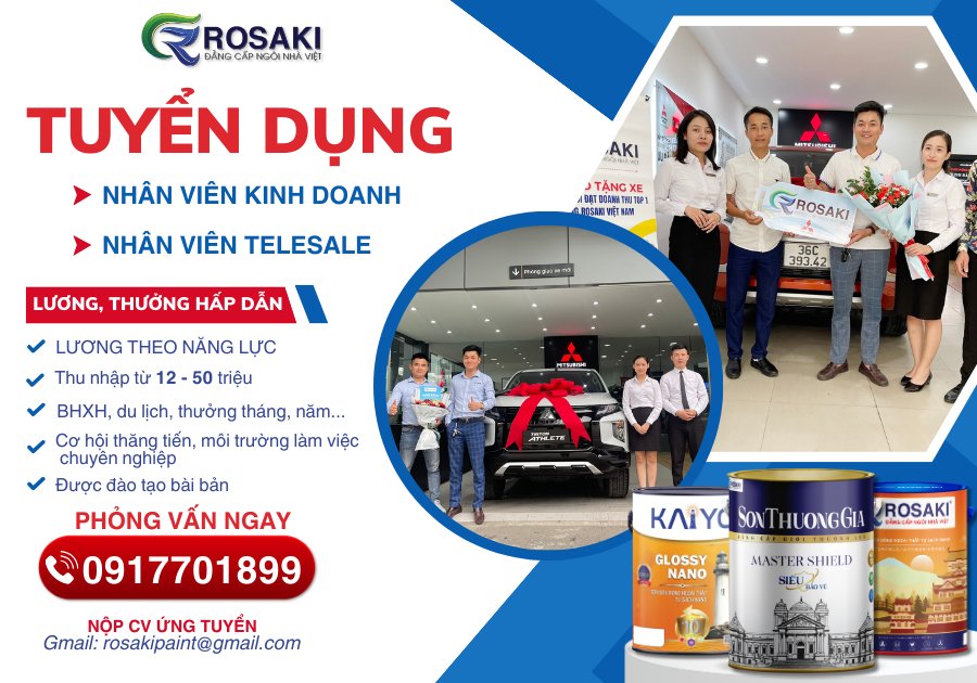 lĩnh vực hoạt động