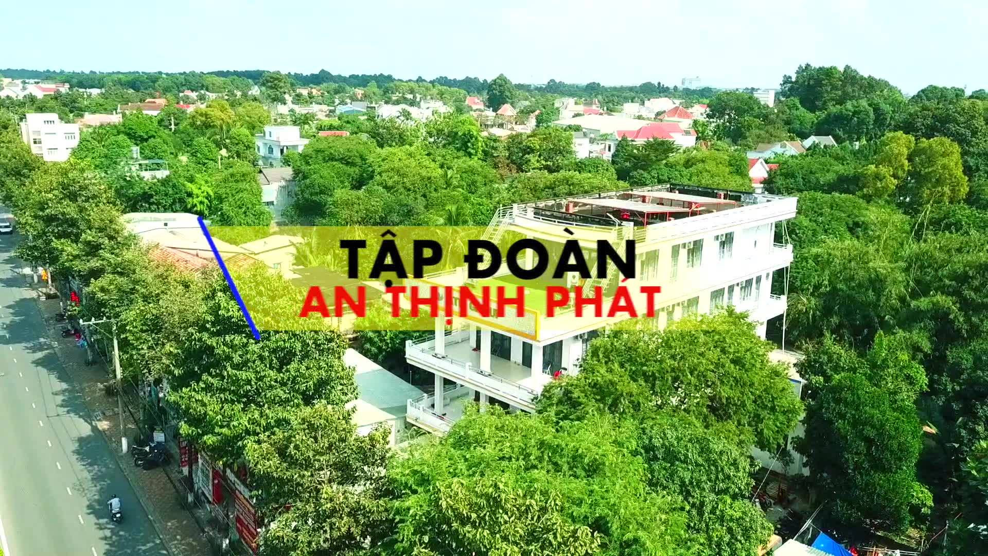 lĩnh vực hoạt động