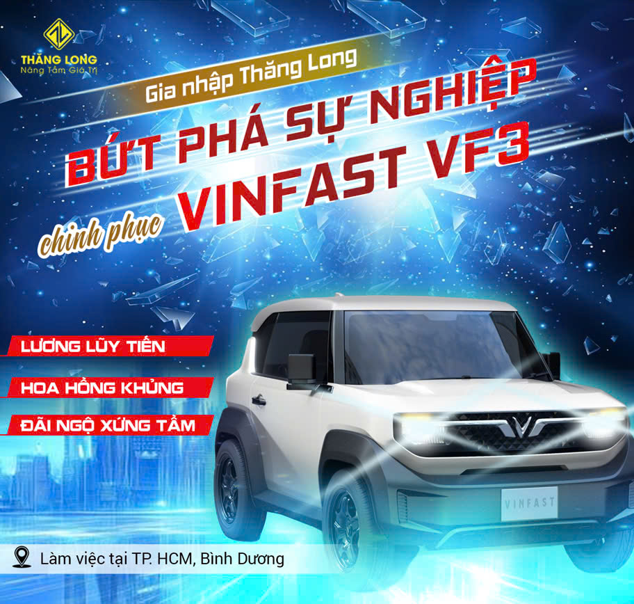 lĩnh vực hoạt động