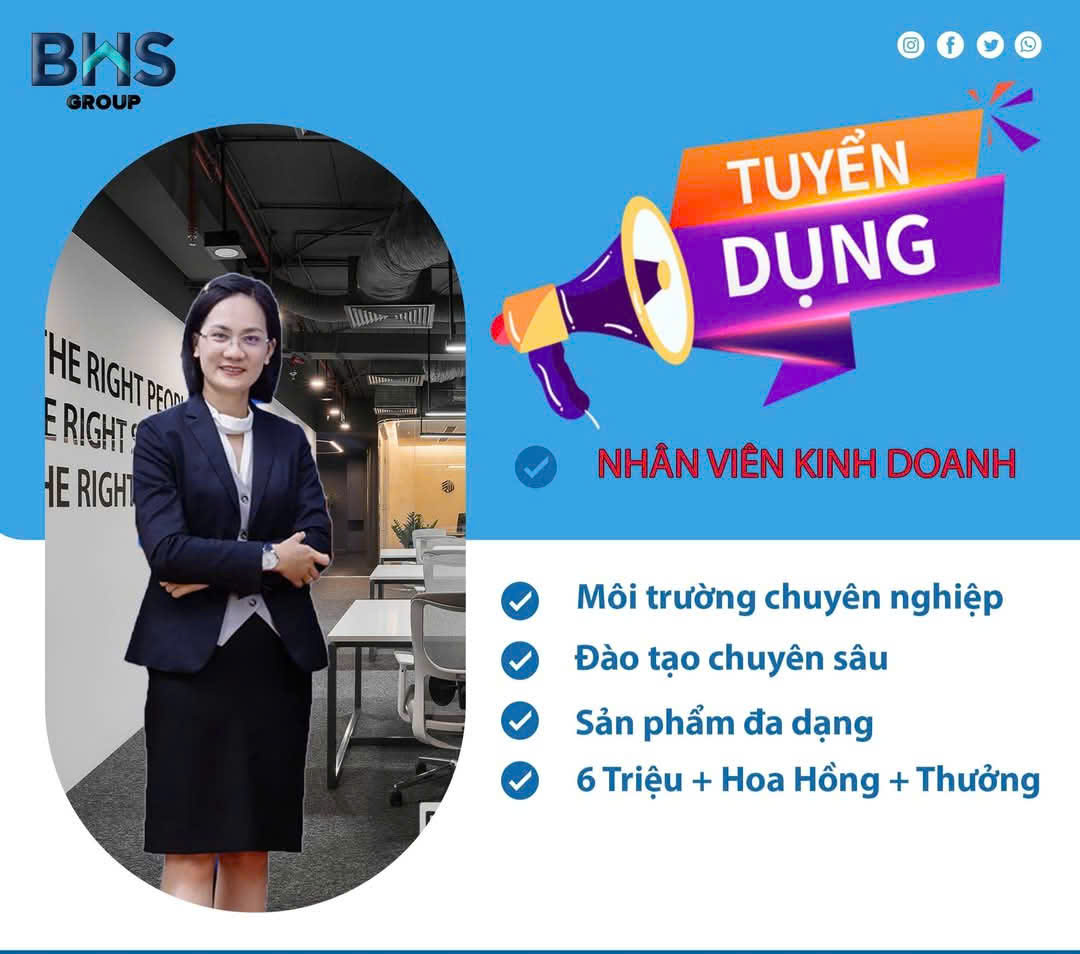 lĩnh vực hoạt động