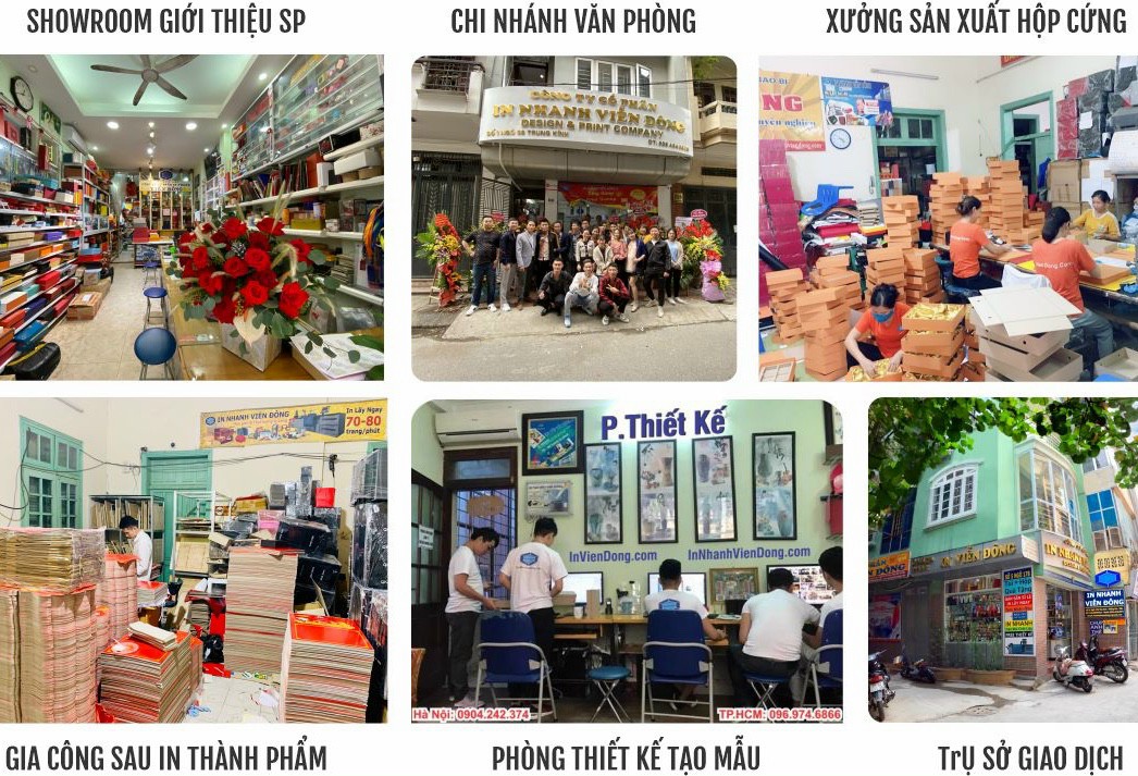 lĩnh vực hoạt động