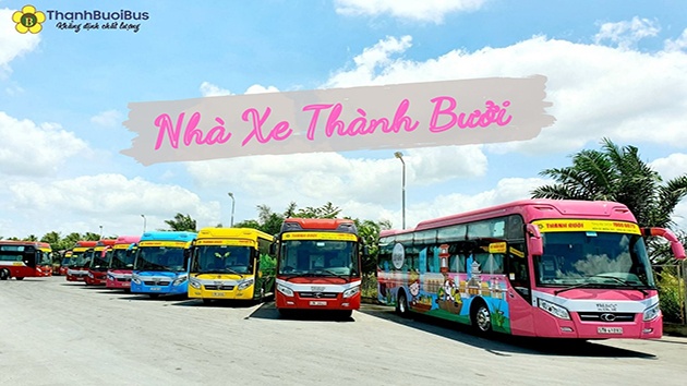 lĩnh vực hoạt động