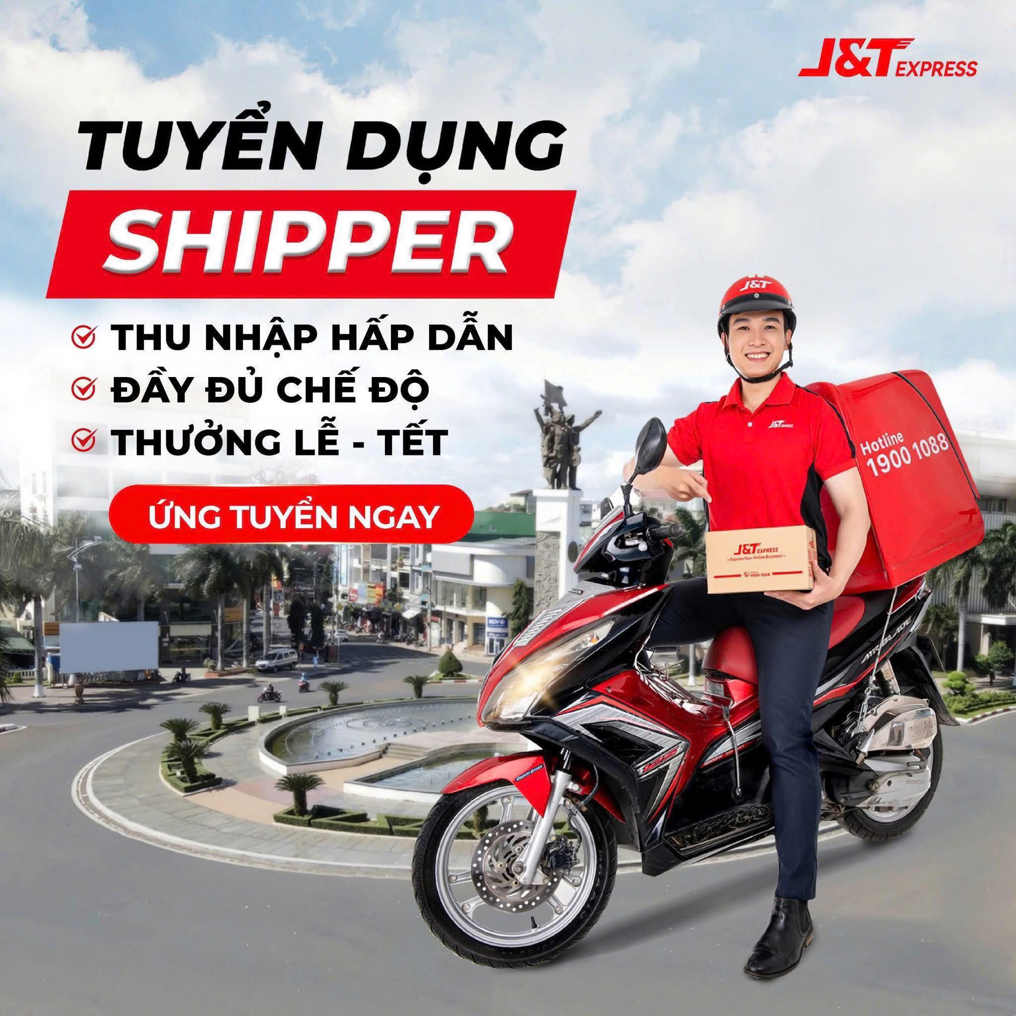 lĩnh vực hoạt động