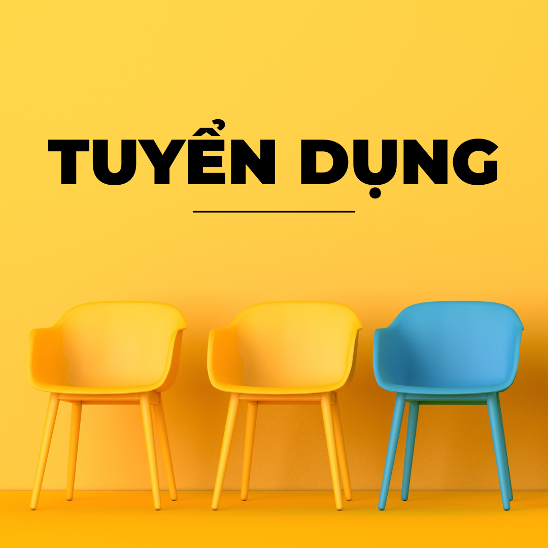 lĩnh vực hoạt động