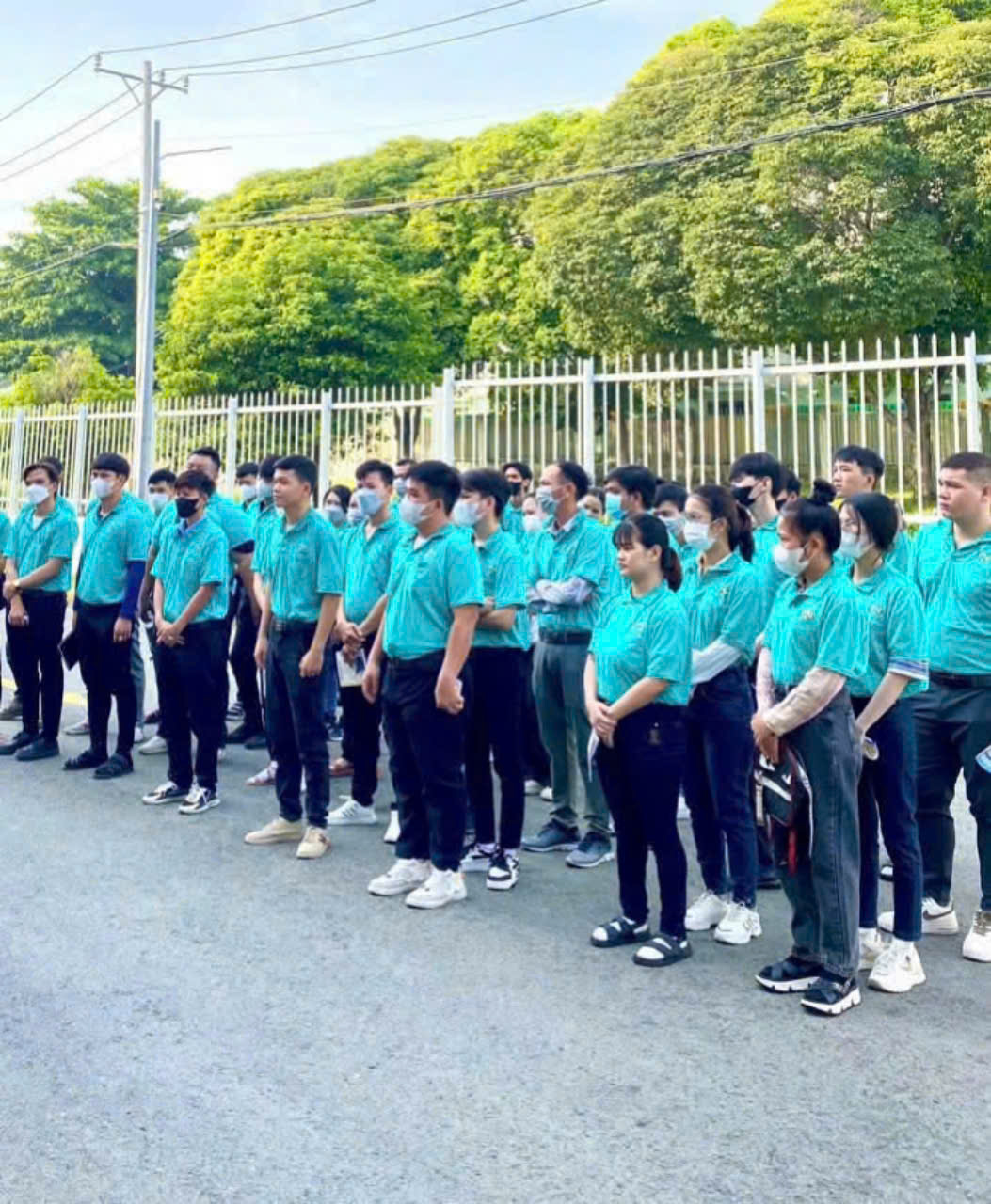 lĩnh vực hoạt động