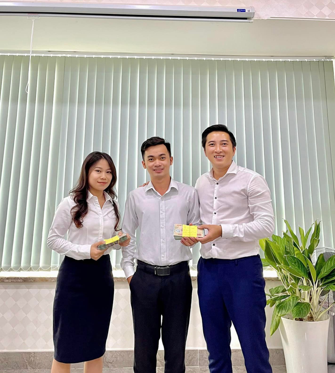 lĩnh vực hoạt động