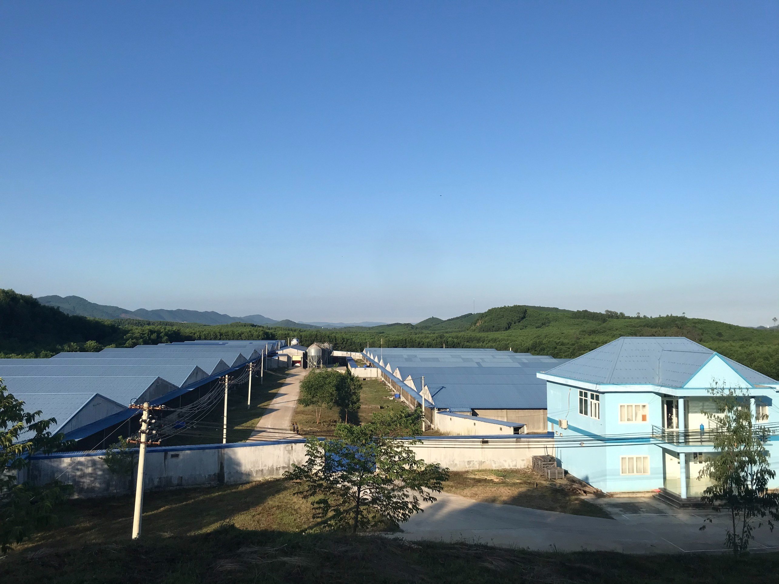 lĩnh vực hoạt động