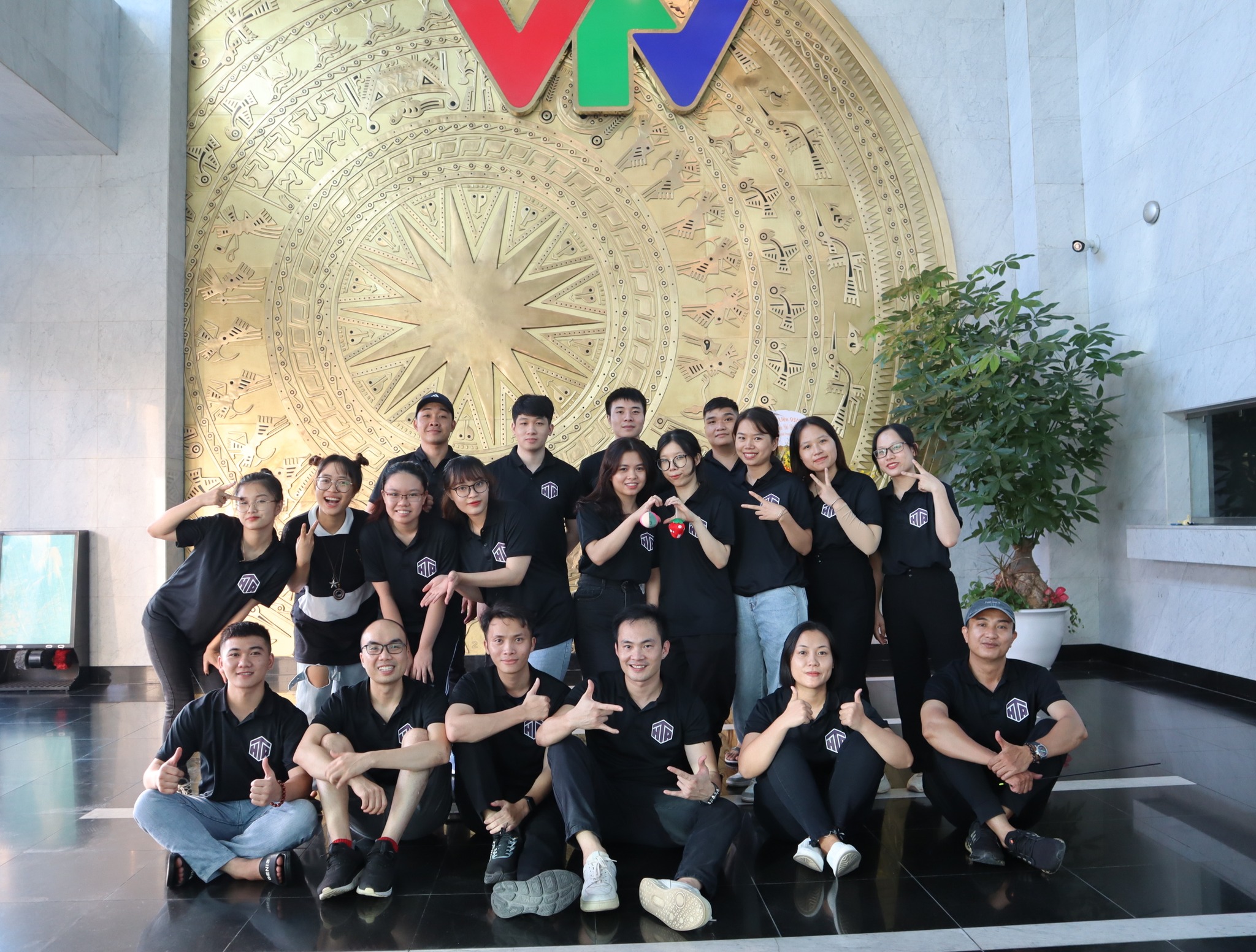 lĩnh vực hoạt động