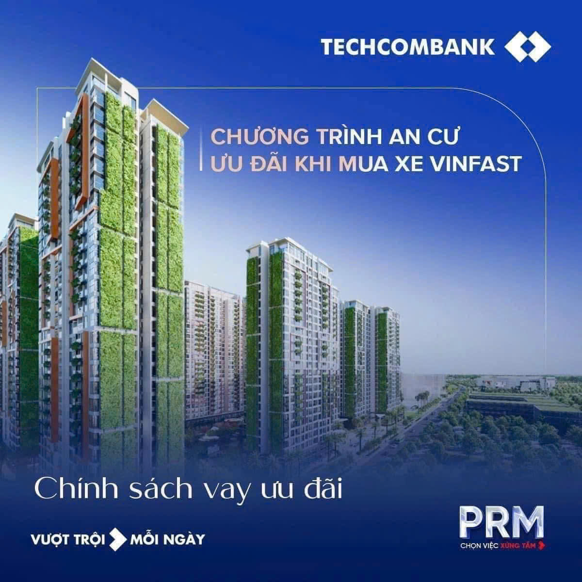 lĩnh vực hoạt động