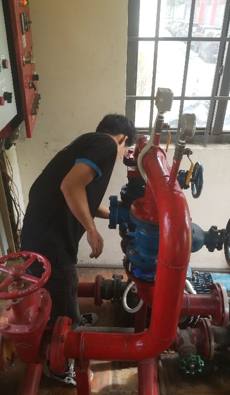 lĩnh vực hoạt động