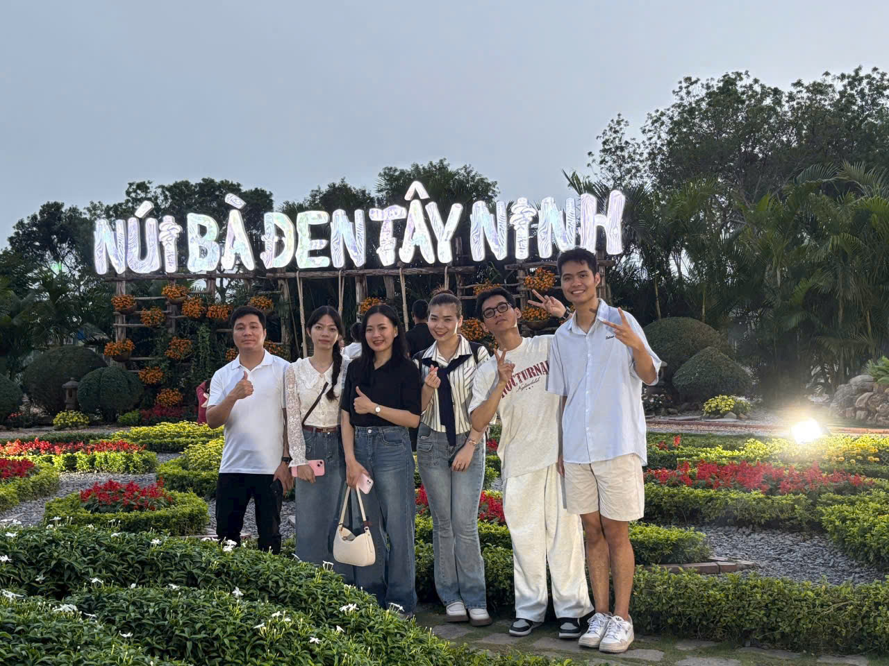 lĩnh vực hoạt động