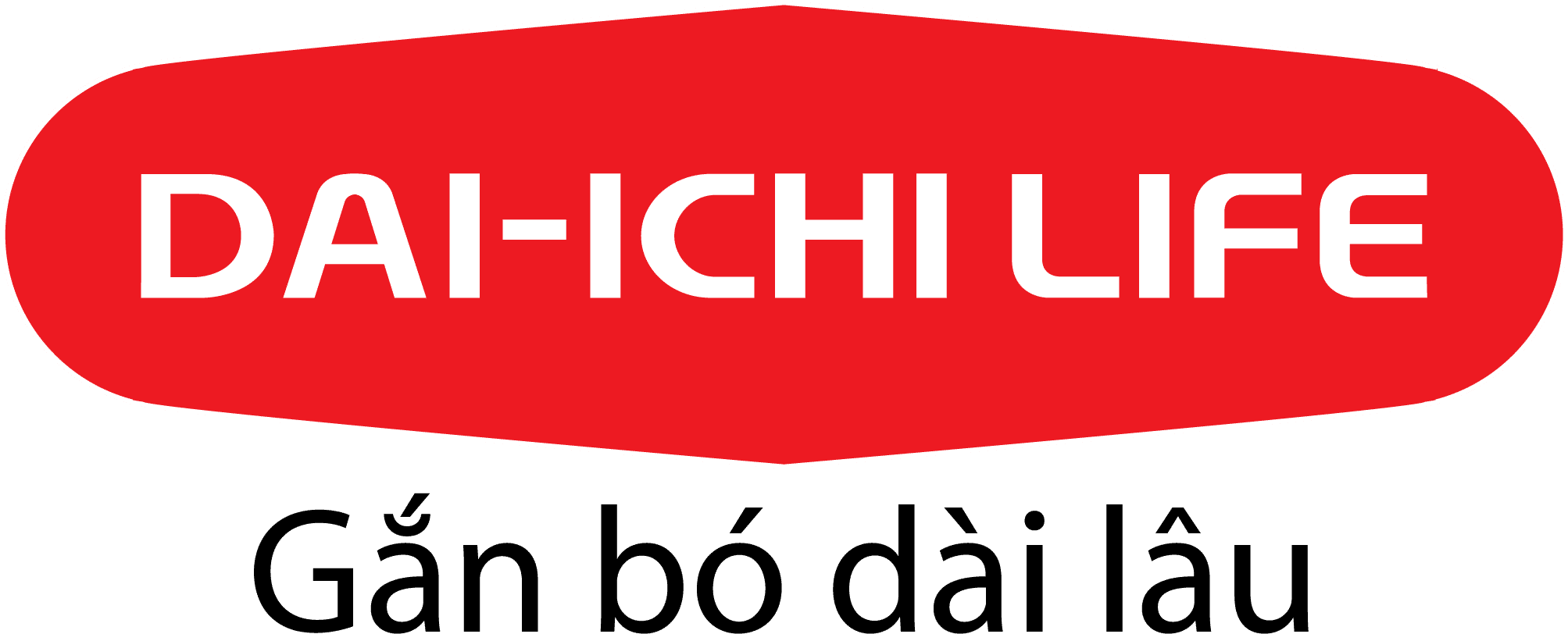 lĩnh vực hoạt động