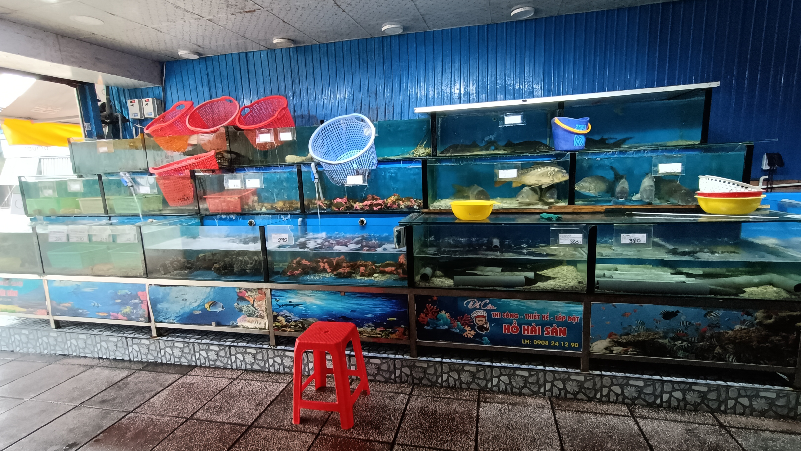 lĩnh vực hoạt động
