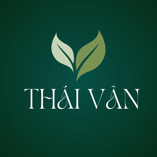 lĩnh vực hoạt động
