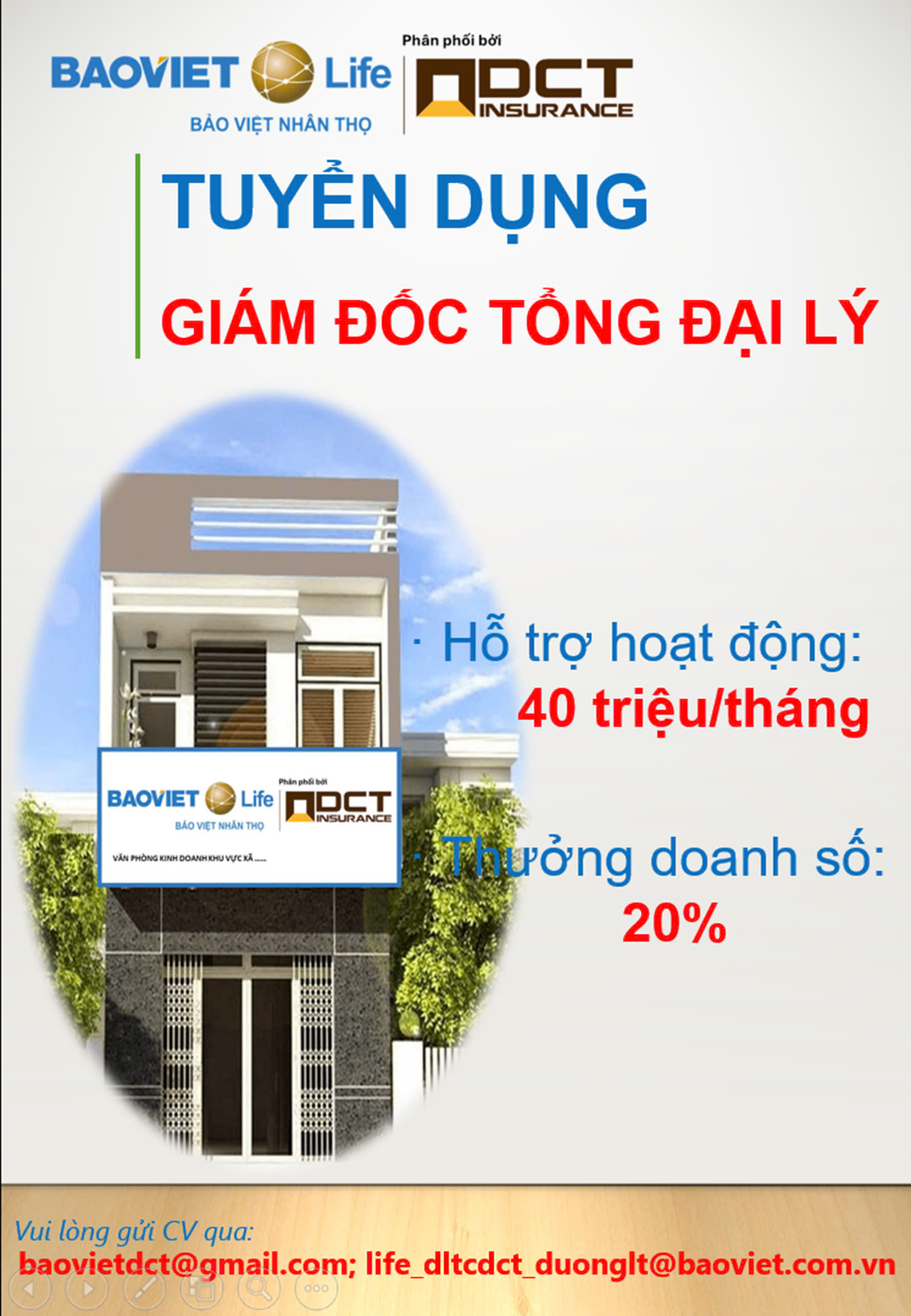 lĩnh vực hoạt động