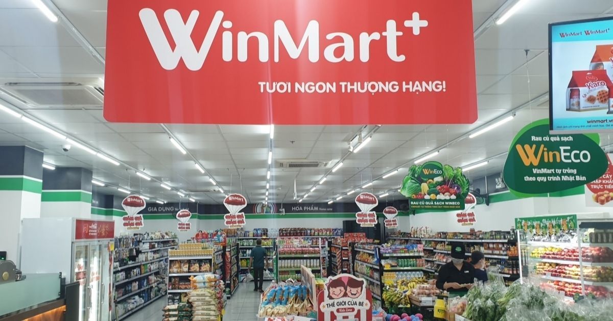 lĩnh vực hoạt động