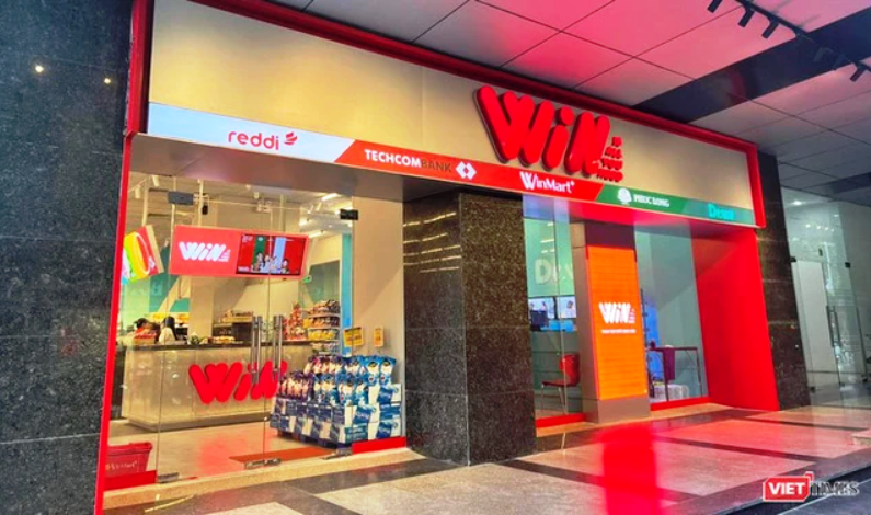 lĩnh vực hoạt động
