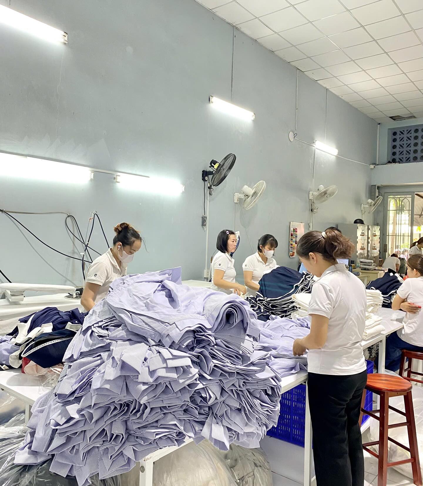 lĩnh vực hoạt động
