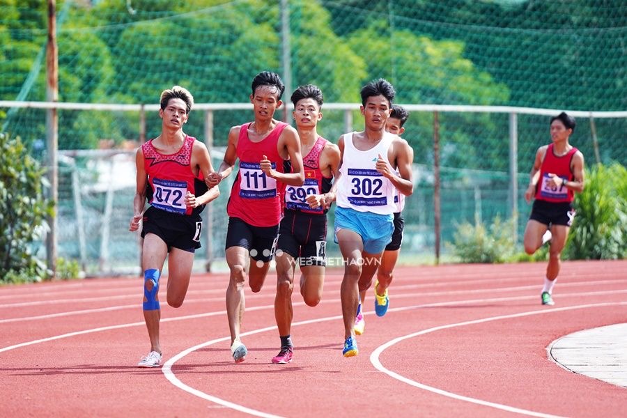 lĩnh vực hoạt động