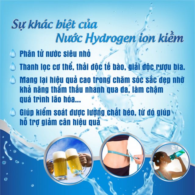lĩnh vực hoạt động