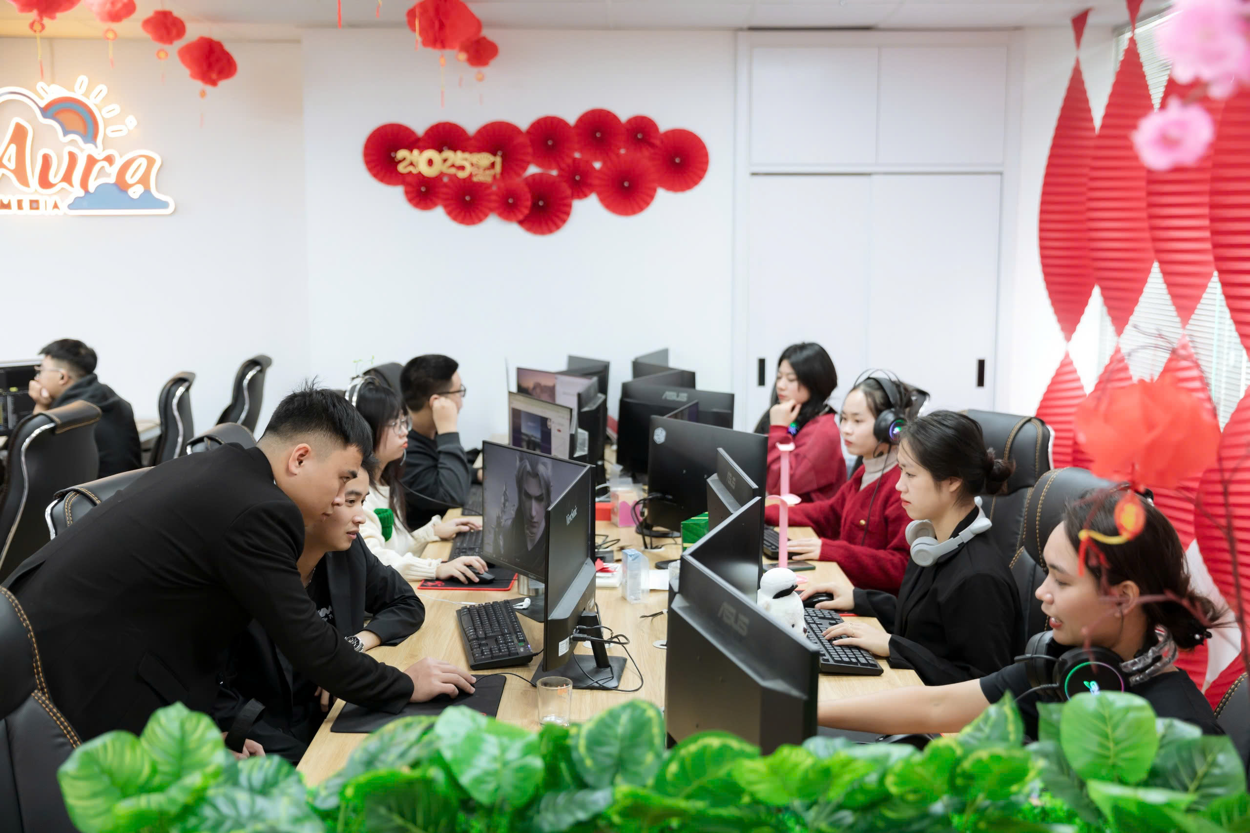 lĩnh vực hoạt động