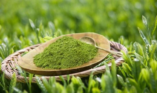 lĩnh vực hoạt động