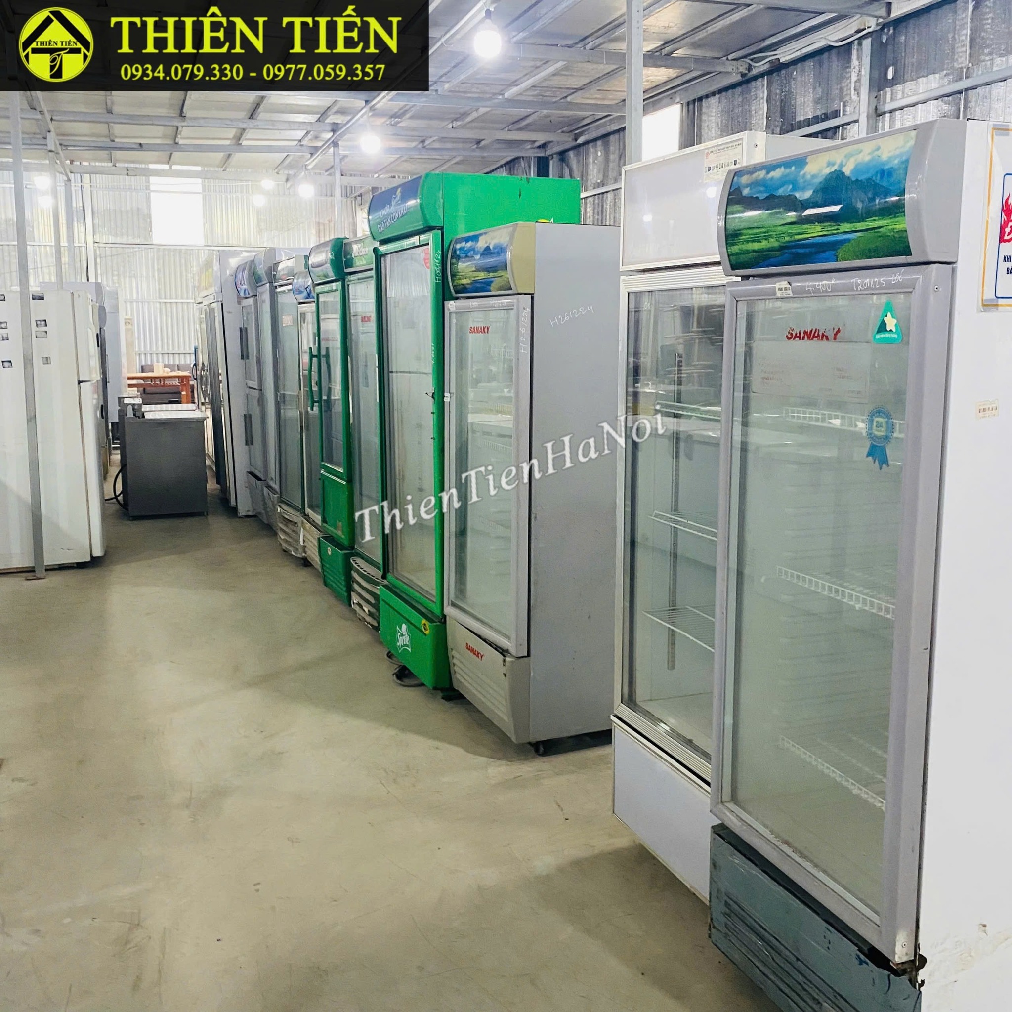 lĩnh vực hoạt động