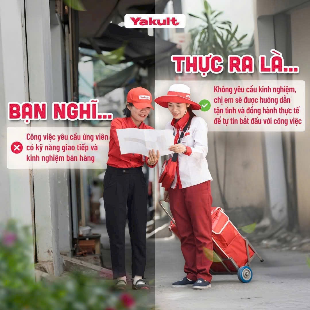lĩnh vực hoạt động