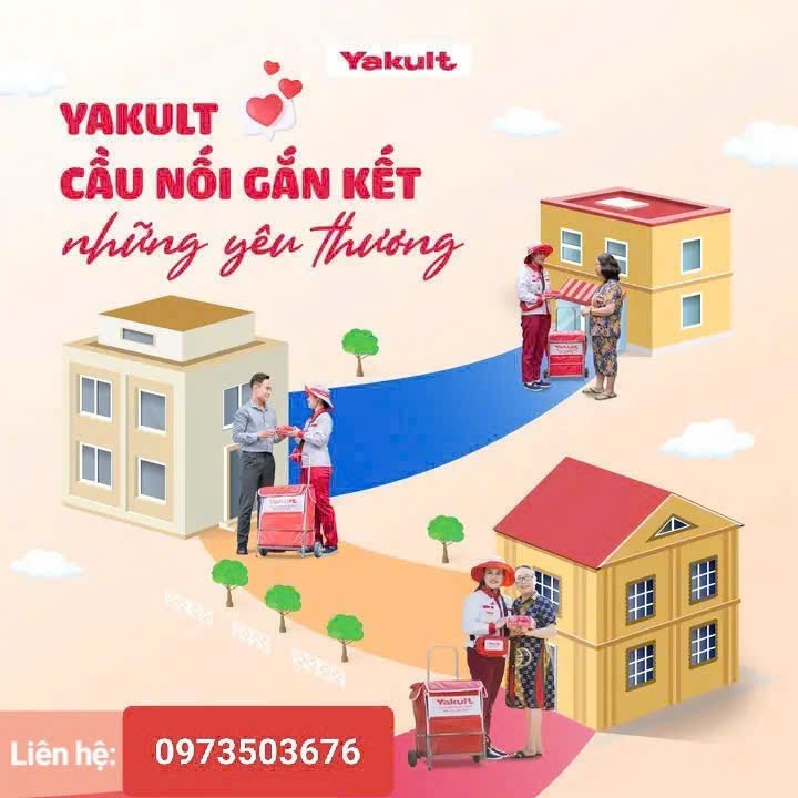 lĩnh vực hoạt động