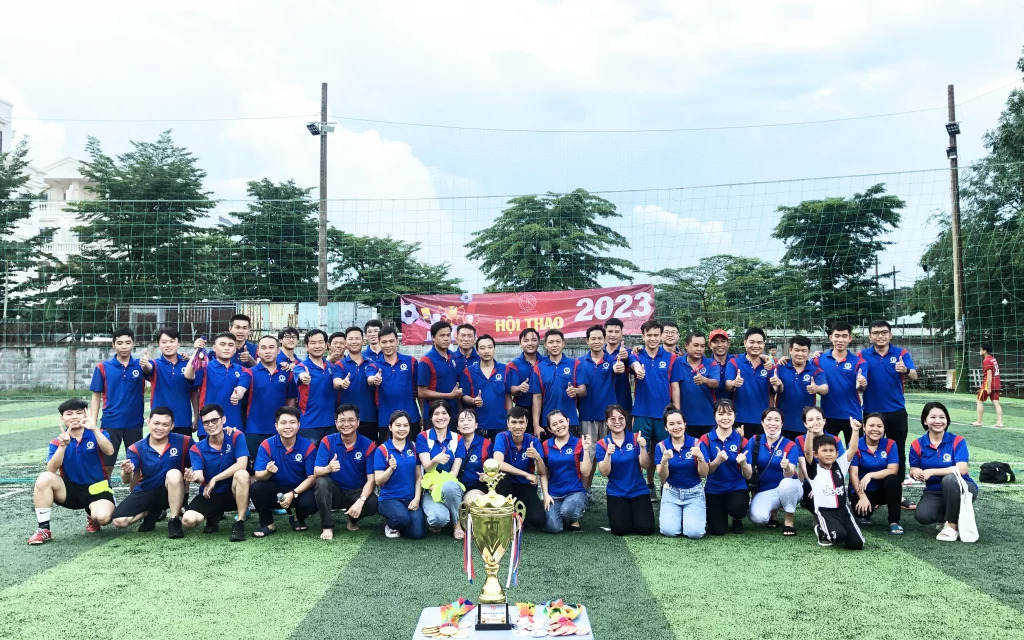 lĩnh vực hoạt động