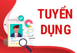 lĩnh vực hoạt động
