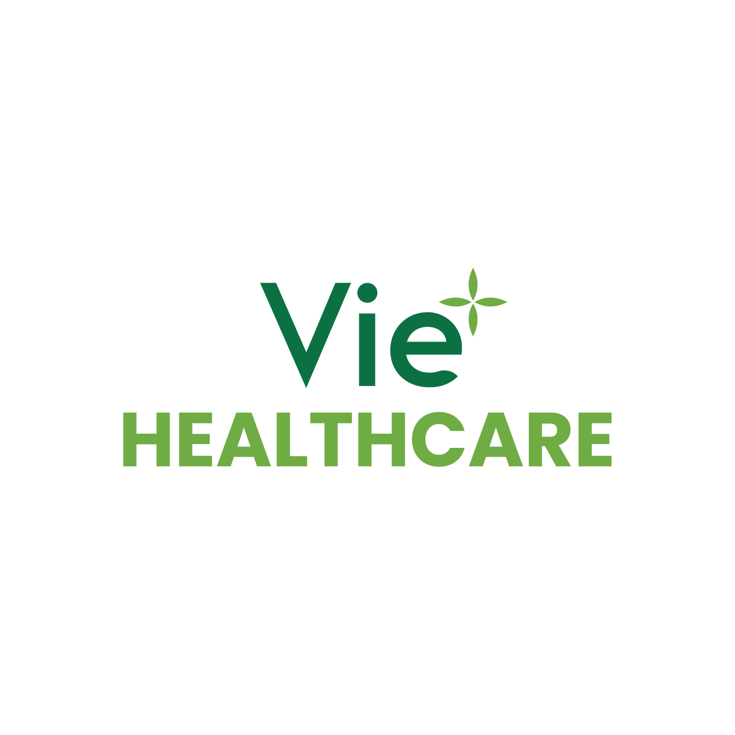 lĩnh vực hoạt động