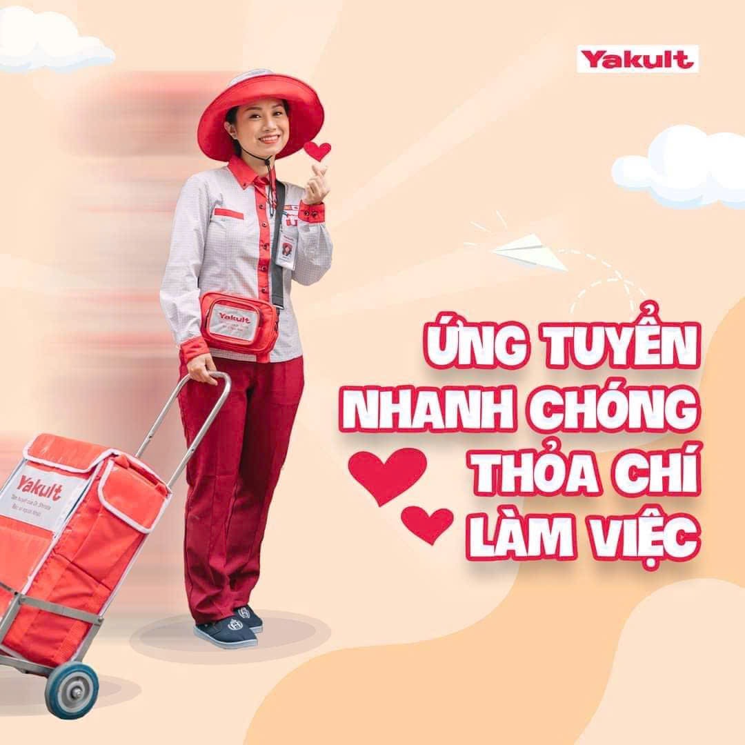 lĩnh vực hoạt động