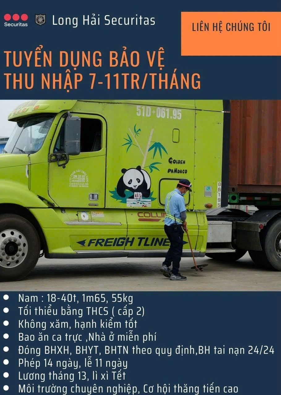 lĩnh vực hoạt động