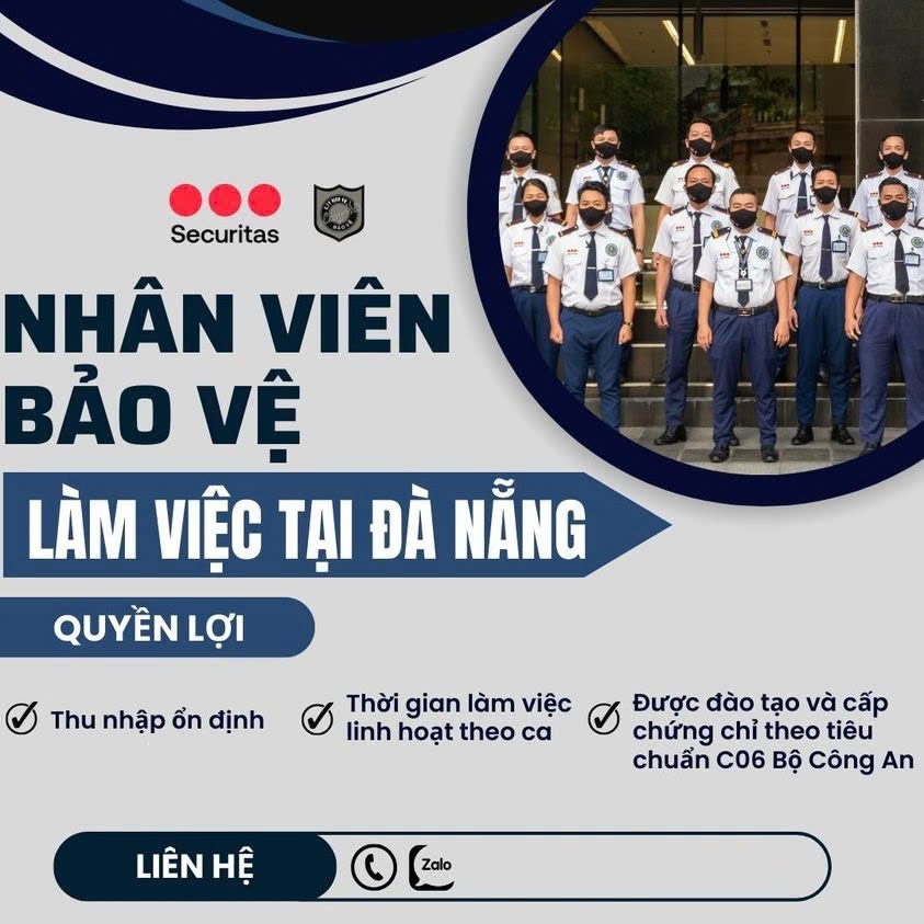 lĩnh vực hoạt động