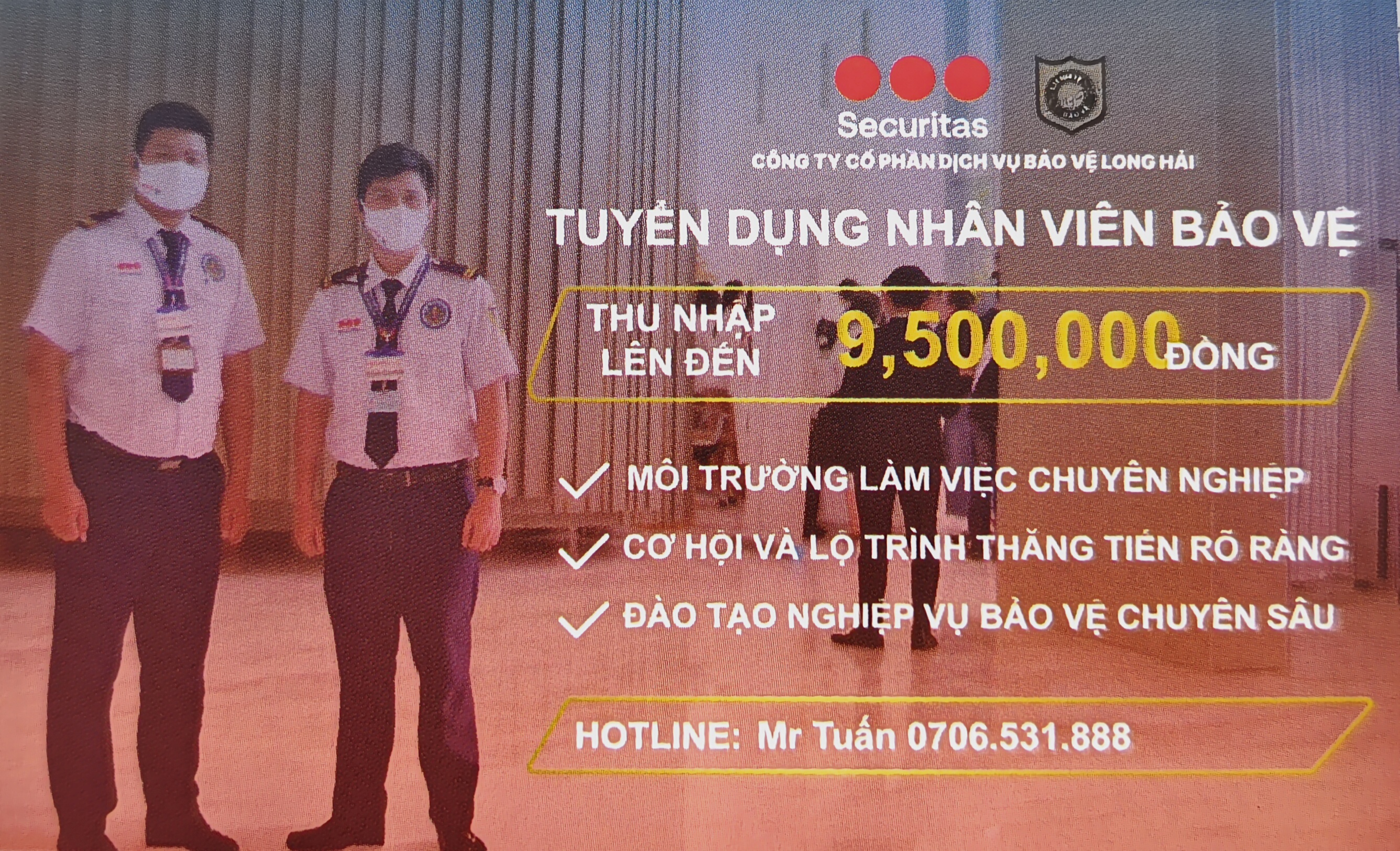 lĩnh vực hoạt động