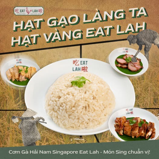 lĩnh vực hoạt động