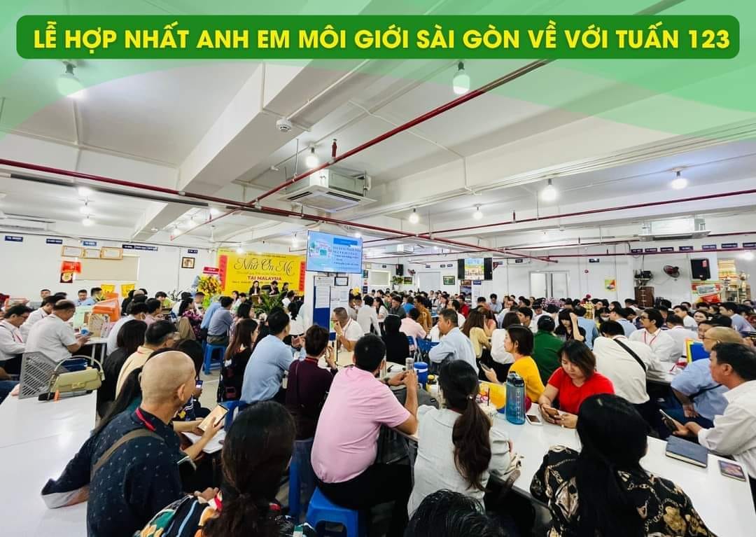 lĩnh vực hoạt động
