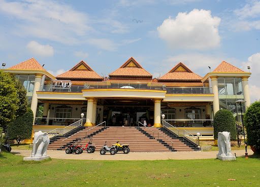 lĩnh vực hoạt động