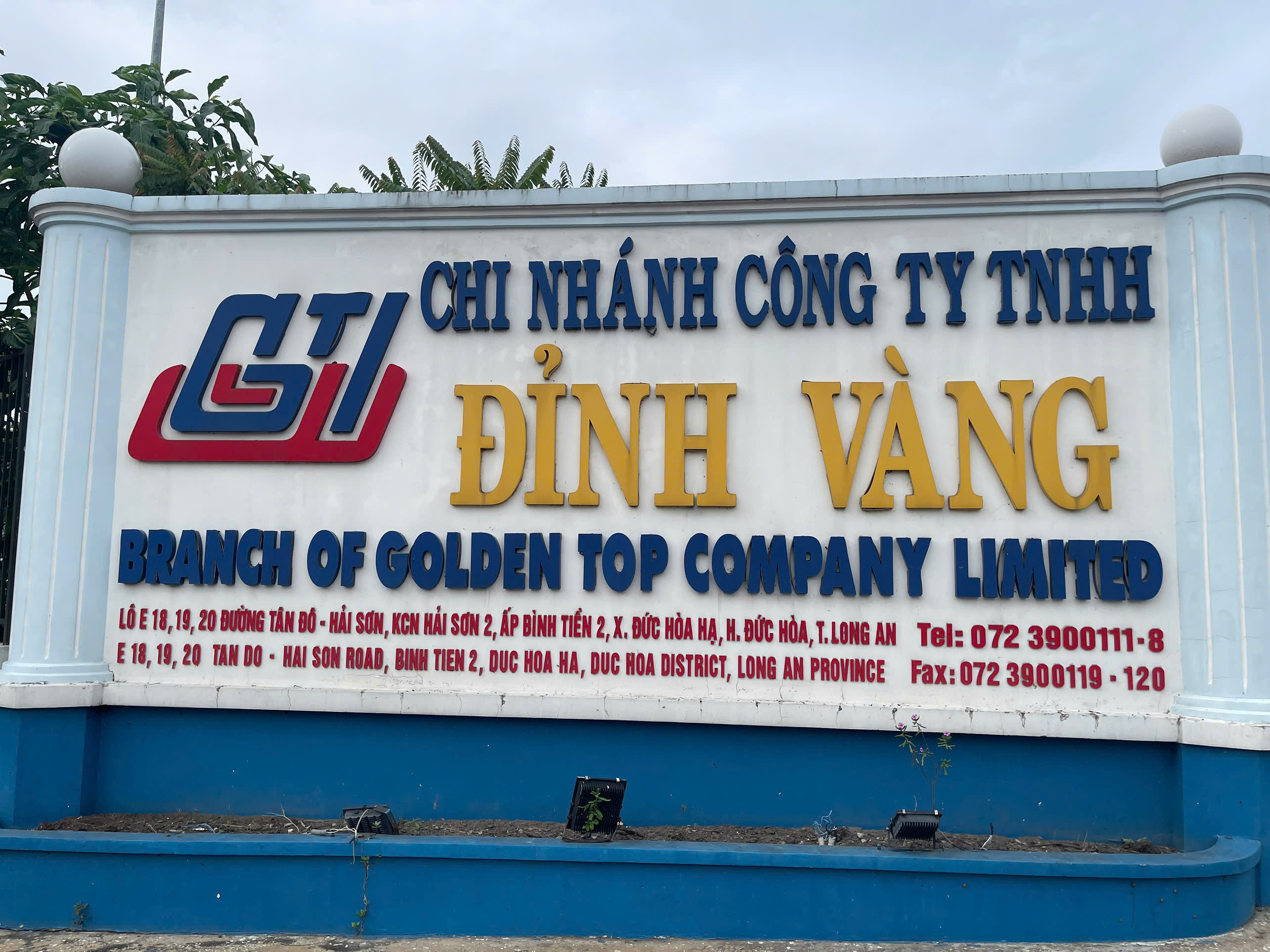 lĩnh vực hoạt động