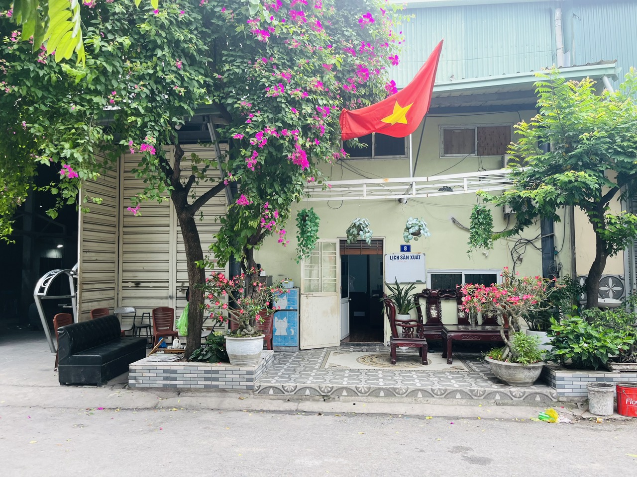 lĩnh vực hoạt động